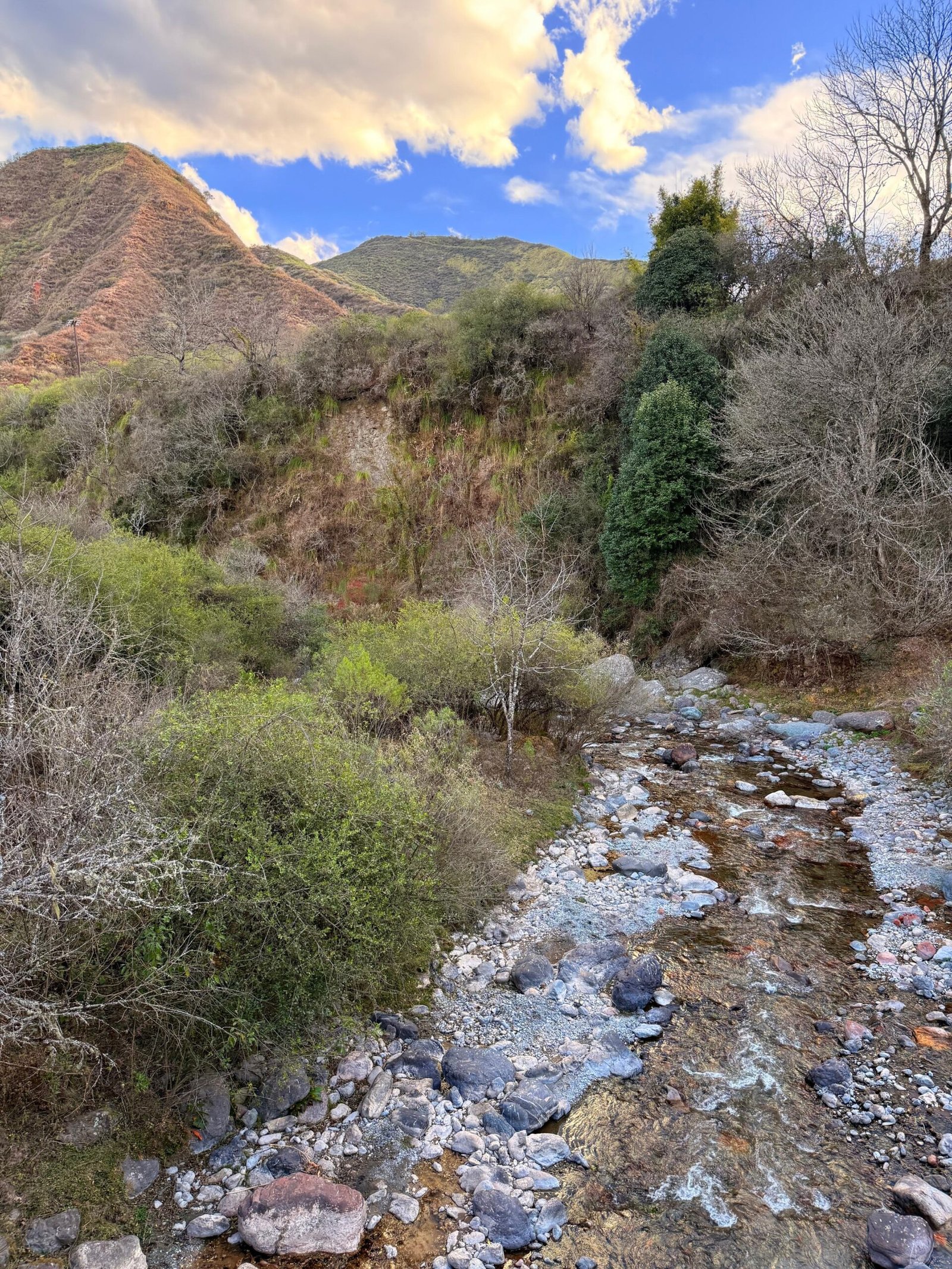 Puyil, Campo Quijano