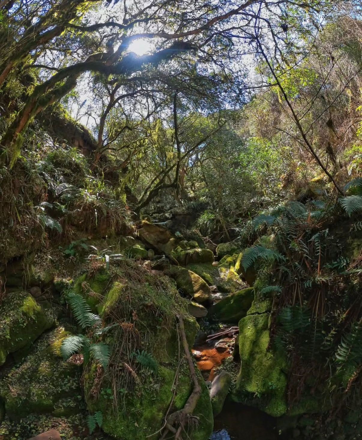 Valle de Corralito - Campo Quijano