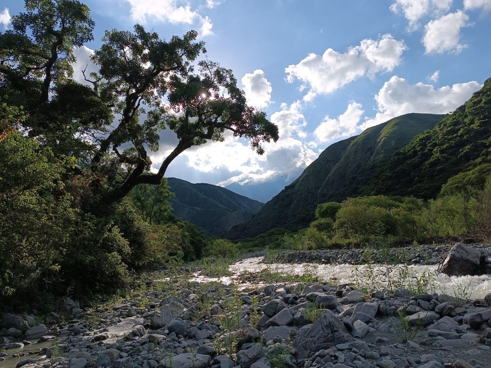 Río Blanco Campo Quijano